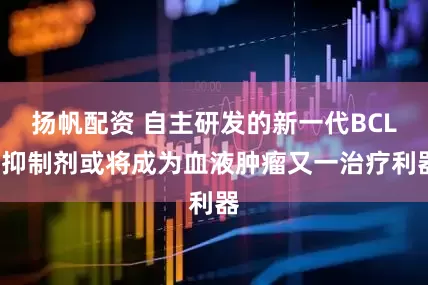扬帆配资 自主研发的新一代BCL2抑制剂或将成为血液肿瘤又一治疗利器