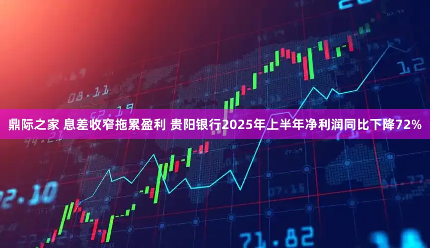 鼎际之家 息差收窄拖累盈利 贵阳银行2025年上半年净利润同比下降72%